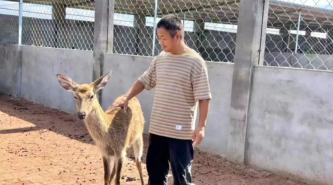 备用网址查询